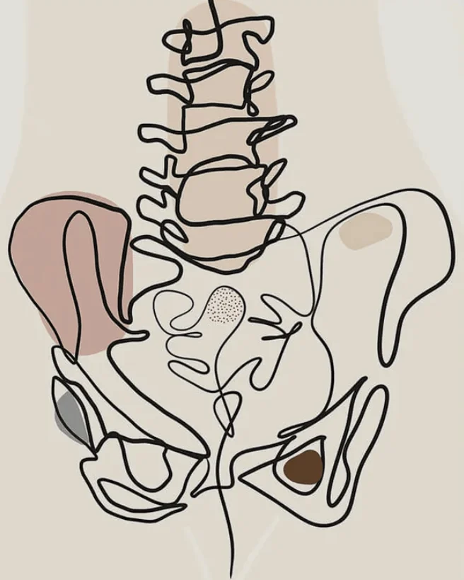 Abstract line art illustration of a pelvis to emphasize pelvic health
